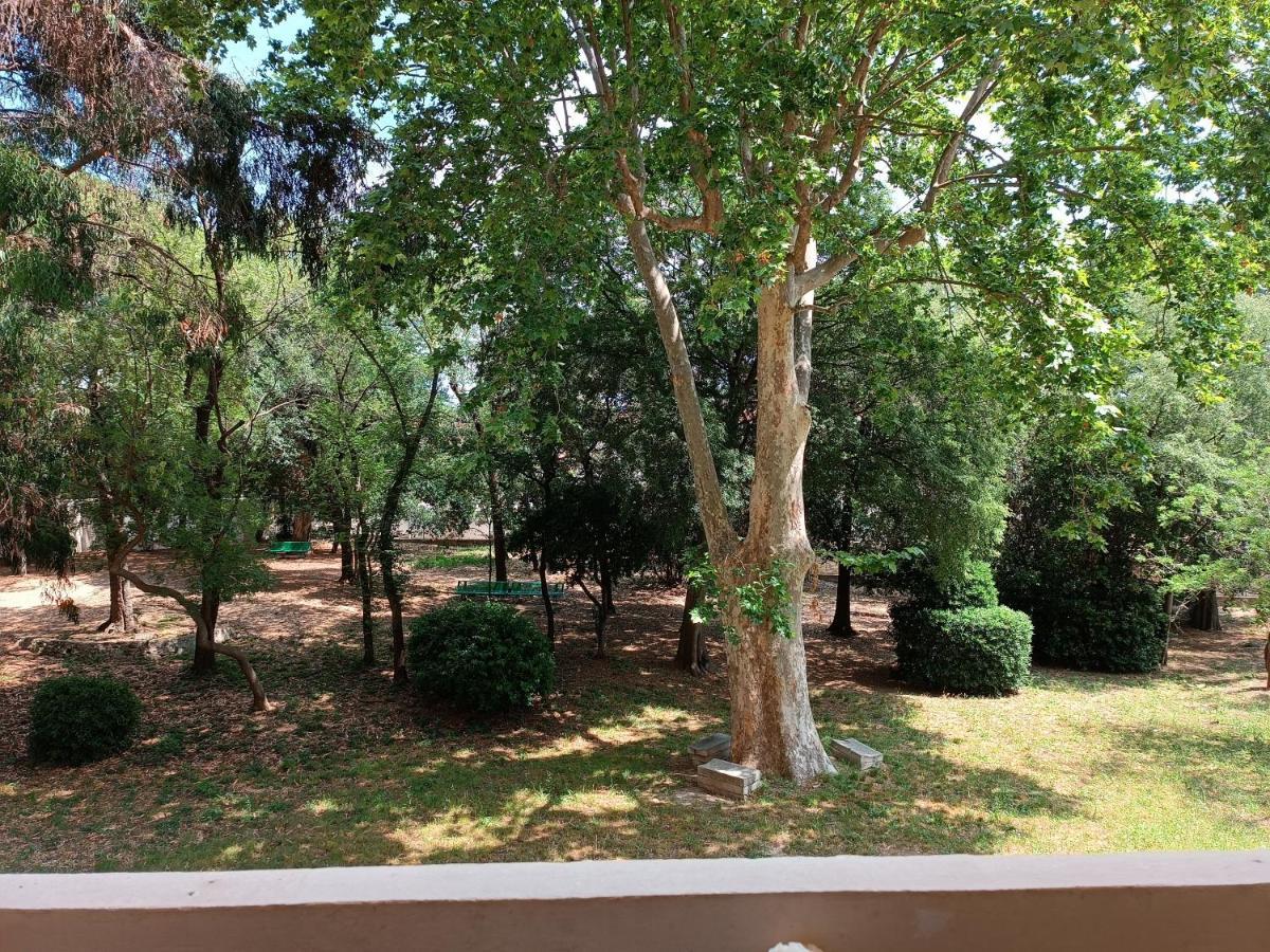 Chez Isa Lägenhet Toulon Exteriör bild